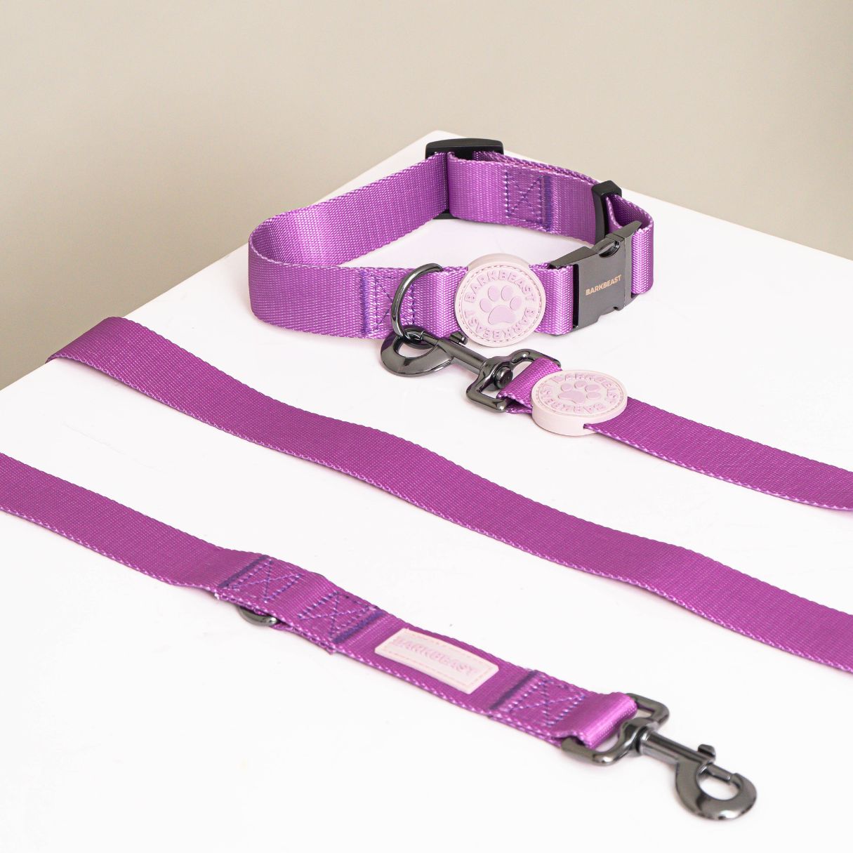 W-Collar & B-Leash in Violet