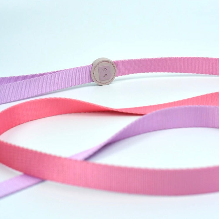 Leash in Cotton Candy