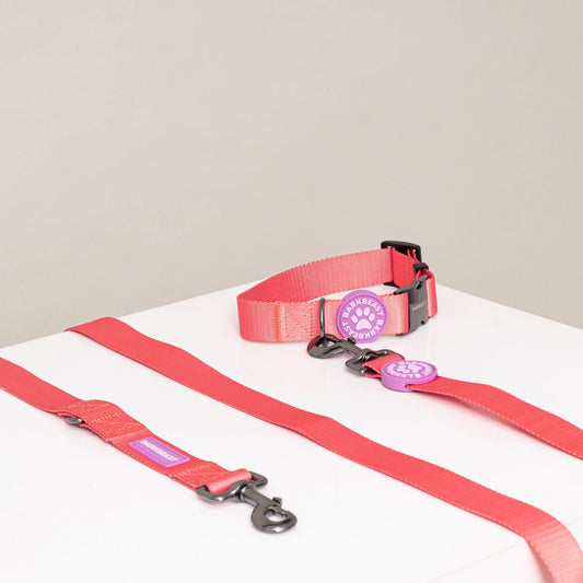 W-Collar & B-Leash in Coral