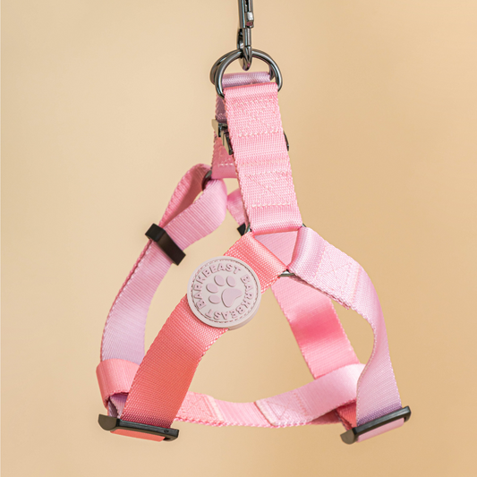 Harness & B-Leash in Cotton Candy