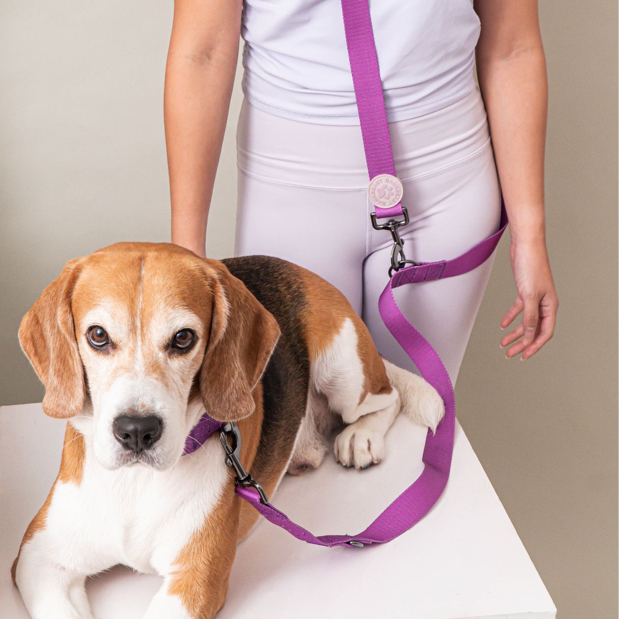 W-Collar & B-Leash in Violet