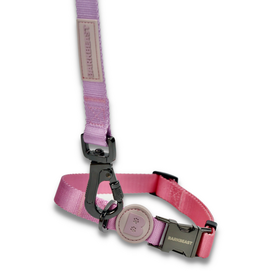 Collar & Leash Set in Cotton Candy