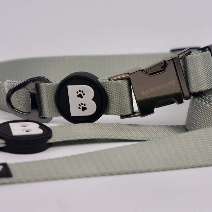 Collar & Leash Set in Seafoam