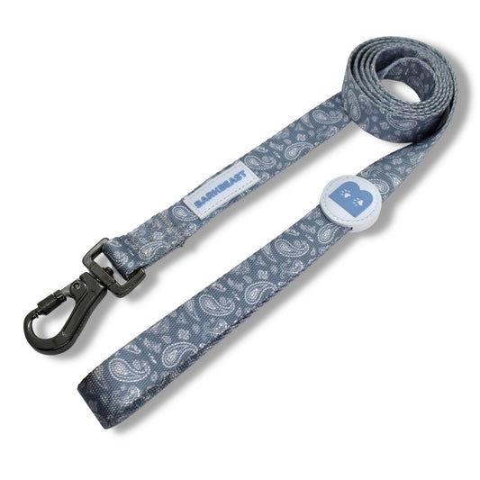 Leash in Blue Paisley