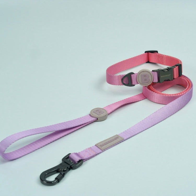 Collar & Leash Set in Cotton Candy