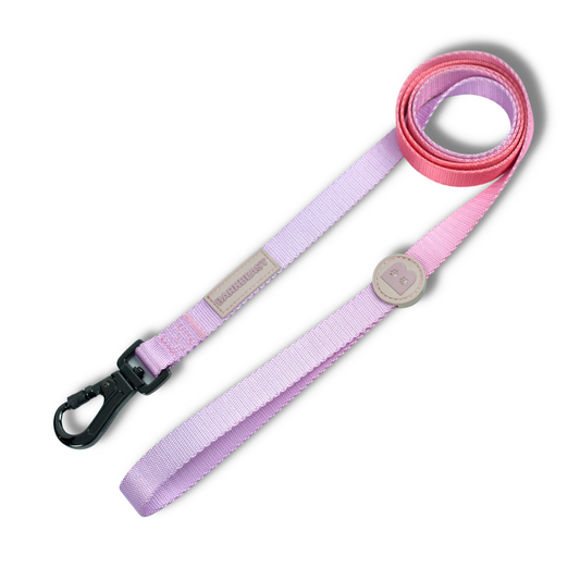 Leash in Cotton Candy