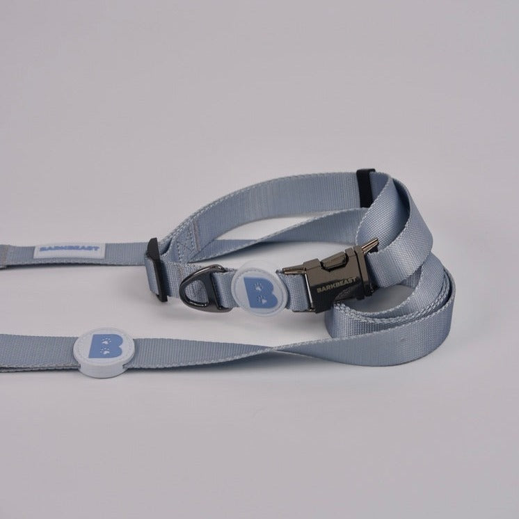 Collar & Leash Set in Frost