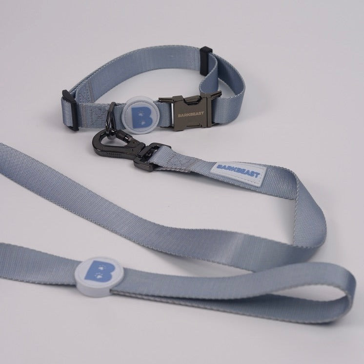 Collar & Leash Set in Frost