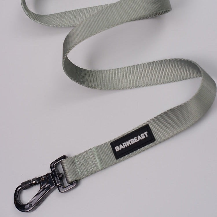 Leash in Seafoam