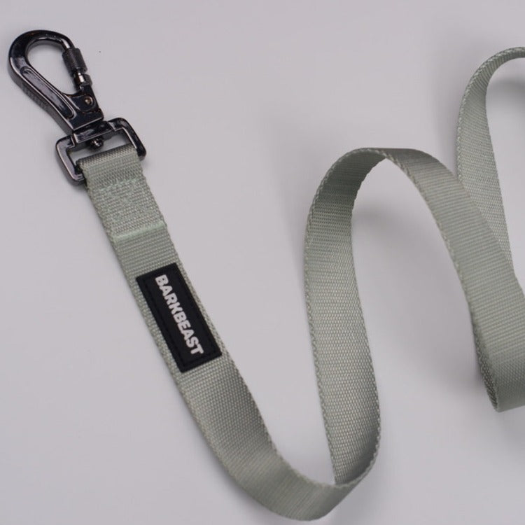 Collar & Leash Set in Seafoam