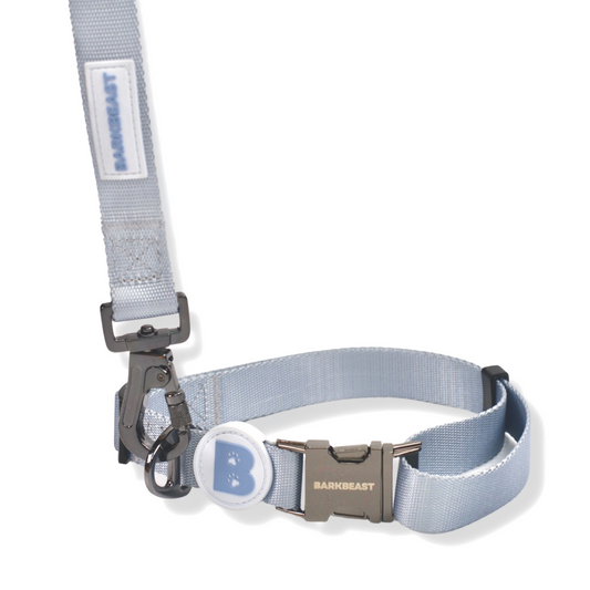 Collar & Leash Set in Frost